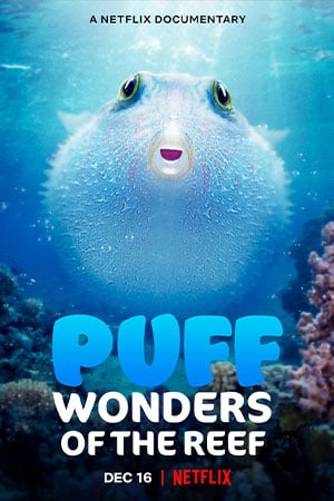 Puff Wonders of the Reef (2021) พัฟฟ์ มหัศจรรย์แห่งปะการัง doomovie