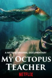 ดูหนังออนไลน์ Netflix  My Octopus Teacher 2020 doomovie-hd