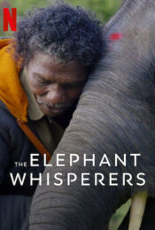 ดูหนังออนไลน์ NETFLIX The Elephant Whisperers 2022 คนกล่อมช้าง doomovie-hd